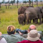 Safari safaris amboseli wildlife vacations nakuru maasai tanzania lion go2africa masai highlights