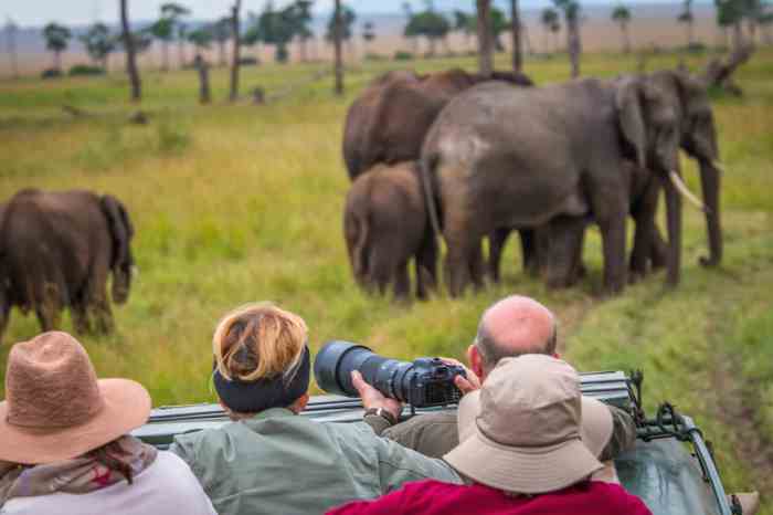 Safari safaris amboseli wildlife vacations nakuru maasai tanzania lion go2africa masai highlights
