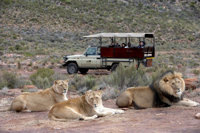 Go2africa